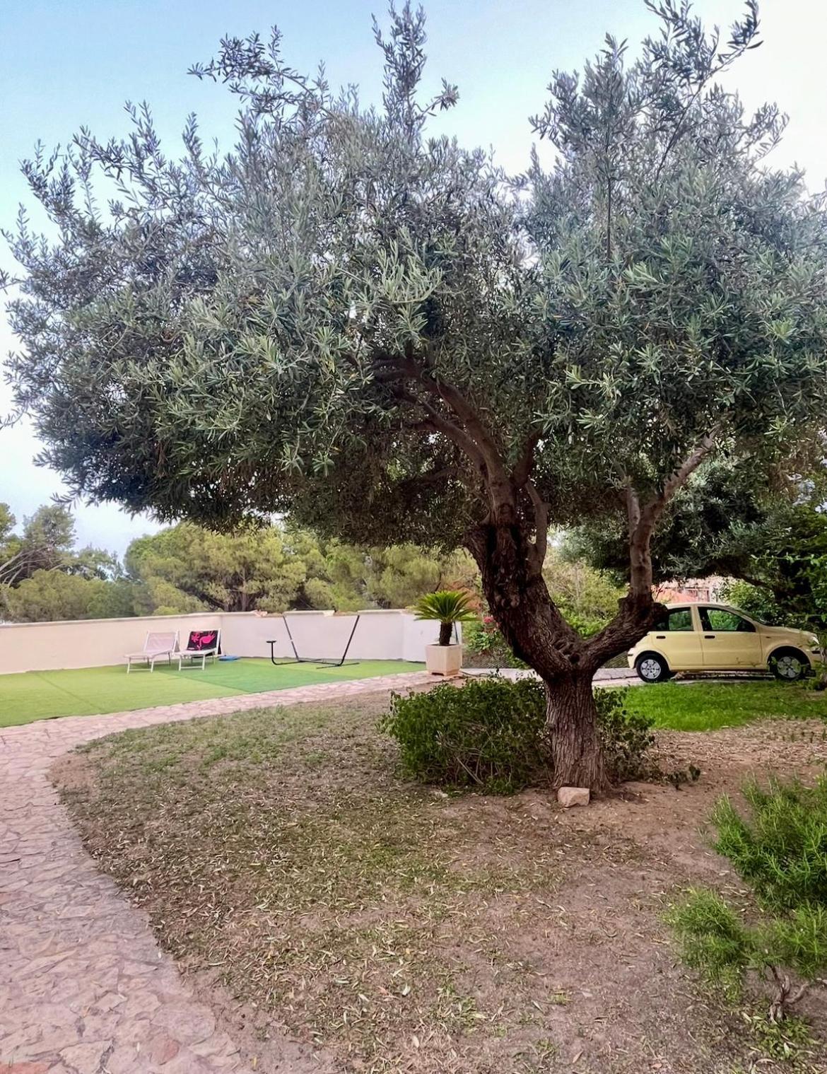 Villa Vittoria Solanas  Buitenkant foto